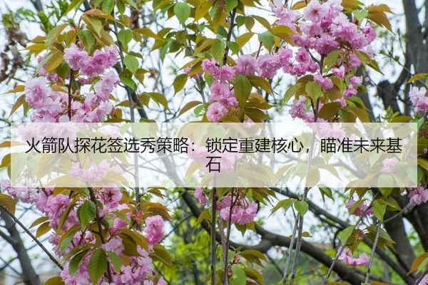 火箭队探花签选秀策略：锁定重建核心，瞄准未来基石