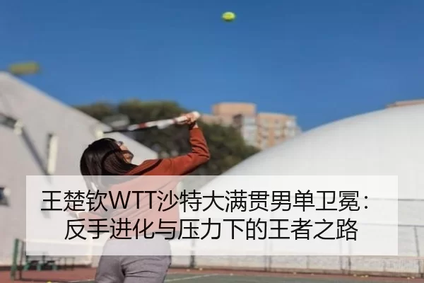 wang-chu-qin-sha-te-da-man-guan-nan-dan-wei-mian-fan-shou-jin-hua-yu-ya-li-xia-de-wang-zhe-zhi-lu-3-296.jpg